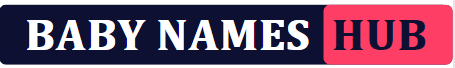 Baby Names Hub Logo